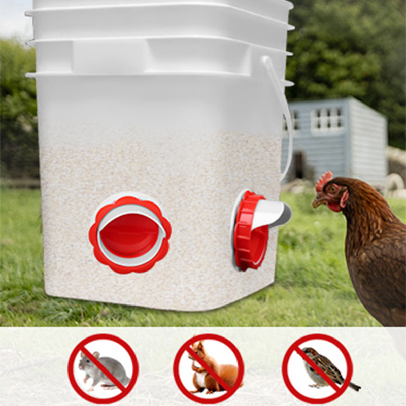 Nuevo alimentador automático de aves de corral alimentador de gran calibre para pollos de pollo alimentador automático de alimentación y bebida de agua