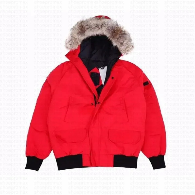 In-Stock down Flight Jacket Unisex Couple Casual Large Wolf Fur Cold-Proof Short Coat Trendy Goose