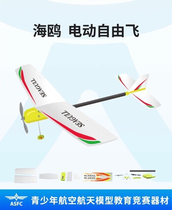 Brand Genuine Product: Seagull Electric Free-Flying Children's Electric Foam Airplane Model Toy Brand Genuine Product: Seagull Electric Free-Flying Children's Electric Foam Airplane Model Toy