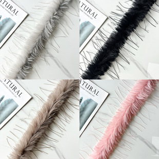 ���Ƽӹ��»��uë�l��ɫ��q�b��L�l�ӴּӺ���b�o��ë߅�lñ��