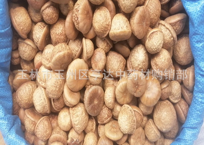 mmexport1732848906995_副本