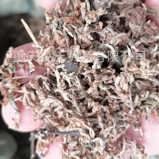 1�������l���ە��ܾ��Ԫ��ܾ ��ܾ,����,��ܾ,�^���^���[�~��