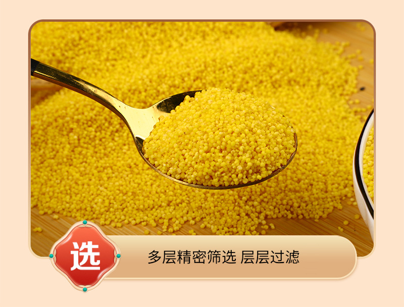Roasted Yellow Millet Xiao Mi 500g Cooked Grain for Porridge Congee and Millet Paste in use