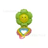 Rainbow Green Daisy