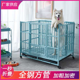 全钢方管折叠宠物笼大型犬家用室内便携式狗笼仿啃咬彩色笼子