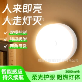 灯头、灯座;接线插座;转换插座