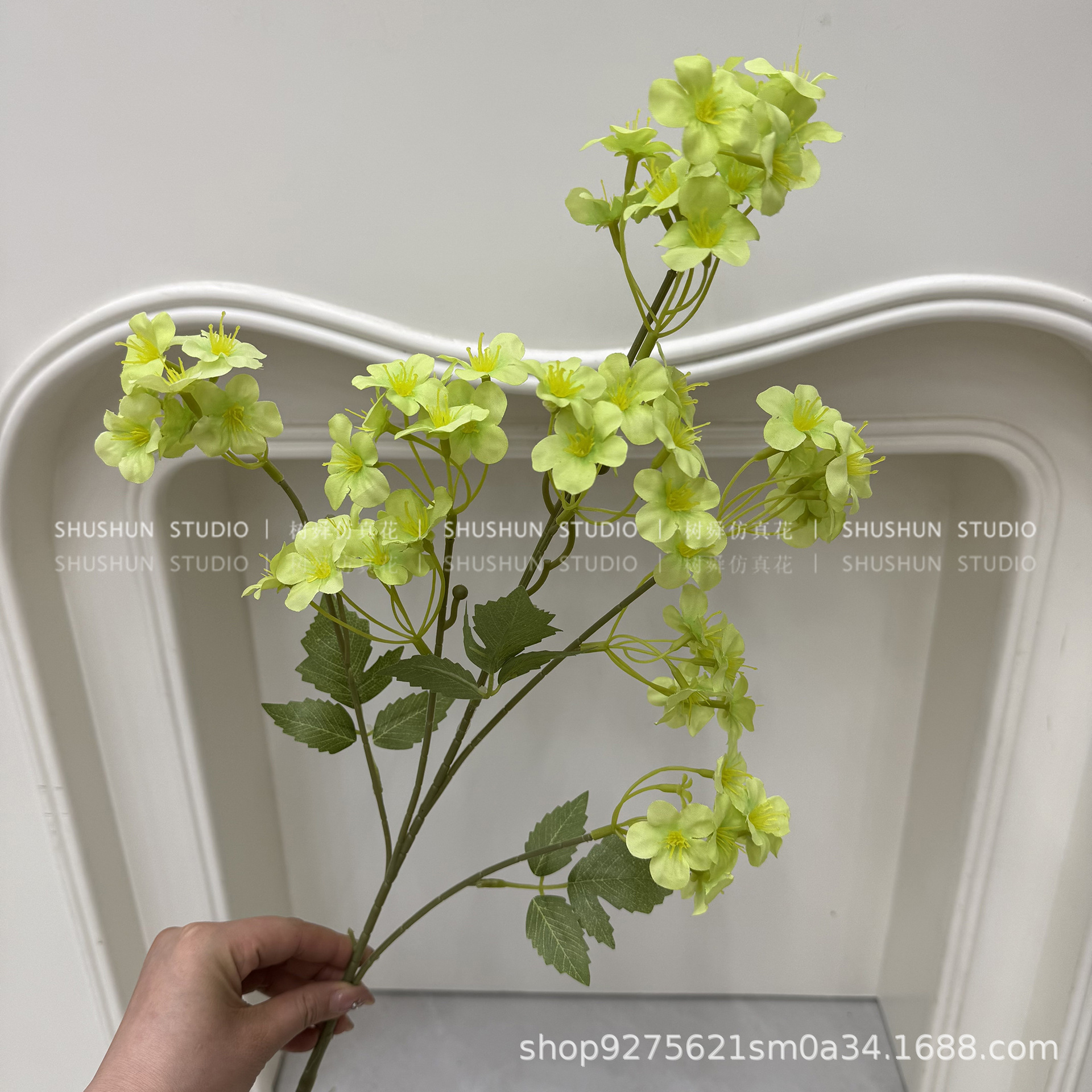 Hortensia de racimo de rama alta-verde claro