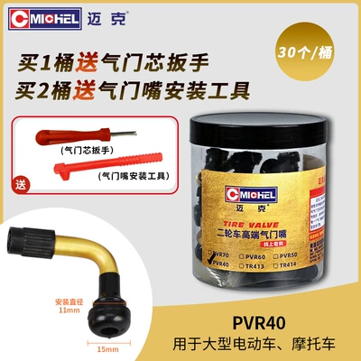 Wheel Hub Core, valve - upgraded-copper-valve-stem-with-valve-core-cap-v40-small-size-30-pieces