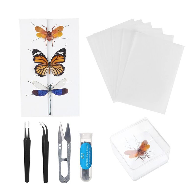 Insect Specimen Making Tools, Insect Needles, Spreader Boards, DIY Butterfly Specimen Tools, Specimen Display Accessories Set Insect Specimen Making Tools, Insect Needles, Spreader Boards, DIY Butterfly Specimen Tools, Specimen Display Accessories Set