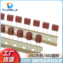 ����΢�ͱ���˿��382Բ��/392����250V T1A T2A 3.15A 4A 5A 6.3A