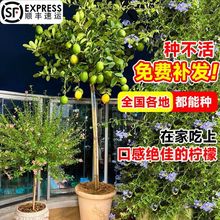 ��ˮ���ʘ���Ϙ����Կ͏d�Gֲ�ļ���������ʳ��ͥԺ�k����