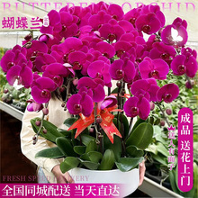 �����������m���Ԏ����r�����fͬ���_�I���w�����Ϻ����ͻ���