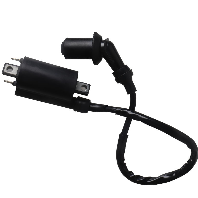 Aplicable a V-Star250/xv125/xv250/virago route66 Yamaha motocicleta bobina de encendido