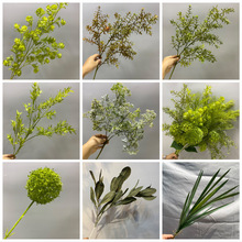 ��c����ţ�͹��Gɫ��Y�õ�픴����~�ľGֲ�����ݼҾ�ܛ�b�ٻ�