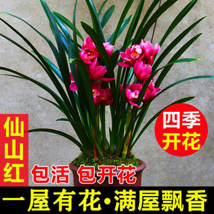 �m���������ļ��_��ֲ���҃Ⱥ��B����ī�m���m���F�m�����̨�Gֲ