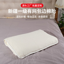 棉花被有网包边棉棉胎家用春秋被冬被保暖被芯加厚褥子厂家批发