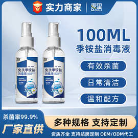 批发免洗手便携季铵盐消毒液喷雾家用衣物洗手液消毒无酒精消毒水