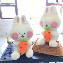 �S�����lʮ��ץ�C���޹��еؔ���Ȧë�q��߻�c������˾�YƷ