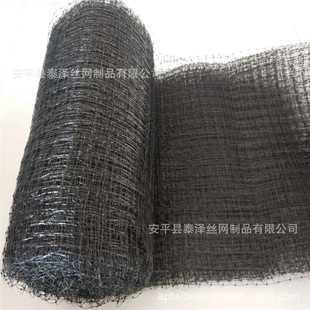 2.5�׷��B�W �D�����B�W ������B�W ���B�W�S��