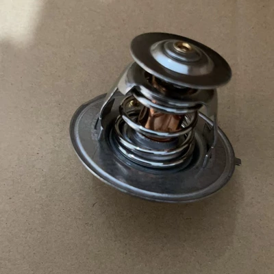 Thermostat 3917324 for