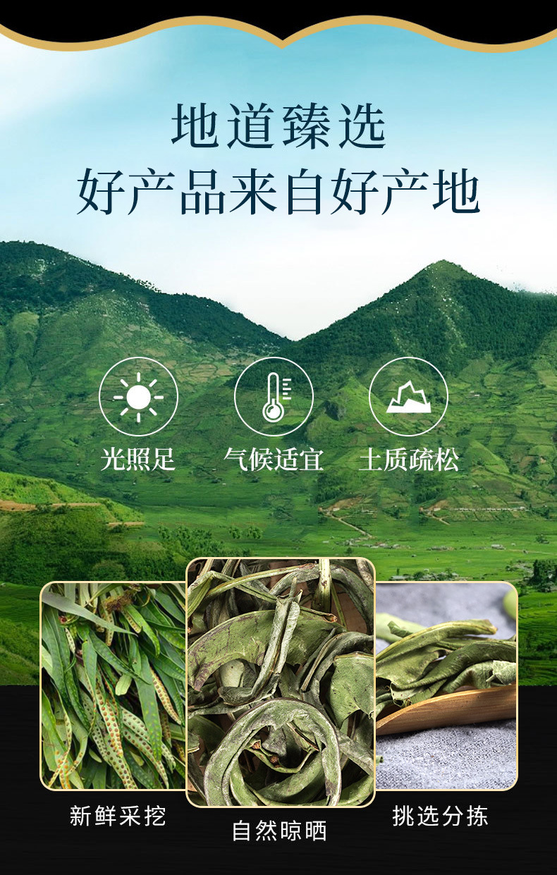 Hua Shi Cao (Lysimachia christinae) — Dried Food Herb for Herbal Tea & Decoction overview