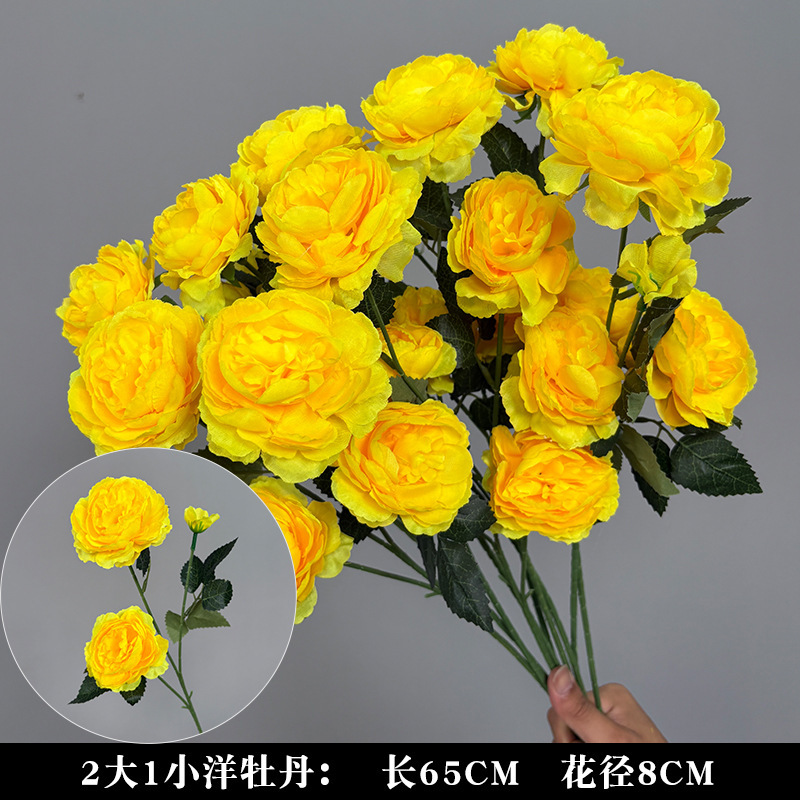 2 크고 1 작은 외국 모란
