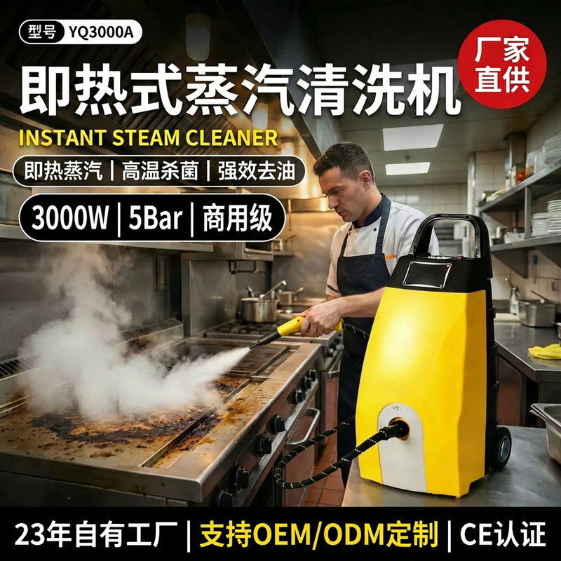 Steam Cleaning Machine, Multi-Functional Kitchen Grease Remover, High-Temperature Range Hood Cleaner, Carpet, Sofa, Mattress Sterilization Cleaning Machine, Car Wash