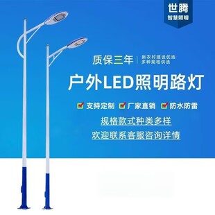 LED City Circuit Light Municipal Road Single Arm Single Head Double Arm Double Head 8.1m 12m City Lighting Street Light Pole