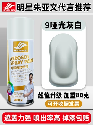 Haoshun Automatic Hand-cranked Self-painting Avtomobil boya qələmləri - shushun-self-painting-450ml9-matte-gray