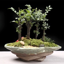 �Ї��L�մɻ����ڏ�����ƴ�P�����m�������m���������辰�����