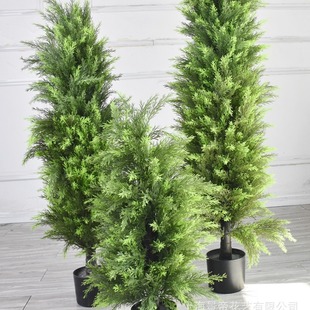 �����}�Q�ɘ���������ɰؘ���ؾ��^���üҾ��b����Ը߷���Gֲ