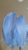 Spot supply 18 color goose hair color feathers DIY jewelry material dyed large floating feathers wholesale