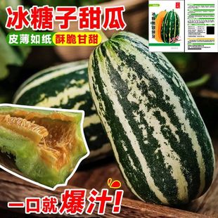 ������������ϷN�����M�؉����ܸ߮a������ͥԺ����ˮ���N��