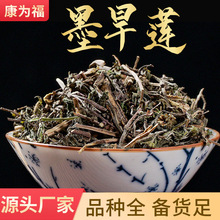 墨旱莲 旱莲草 中药材墨旱莲 墨旱莲批发墨旱莲大量现货 产地货源