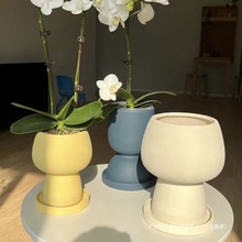 insLmմɿ͏d[ŻƿÎбP