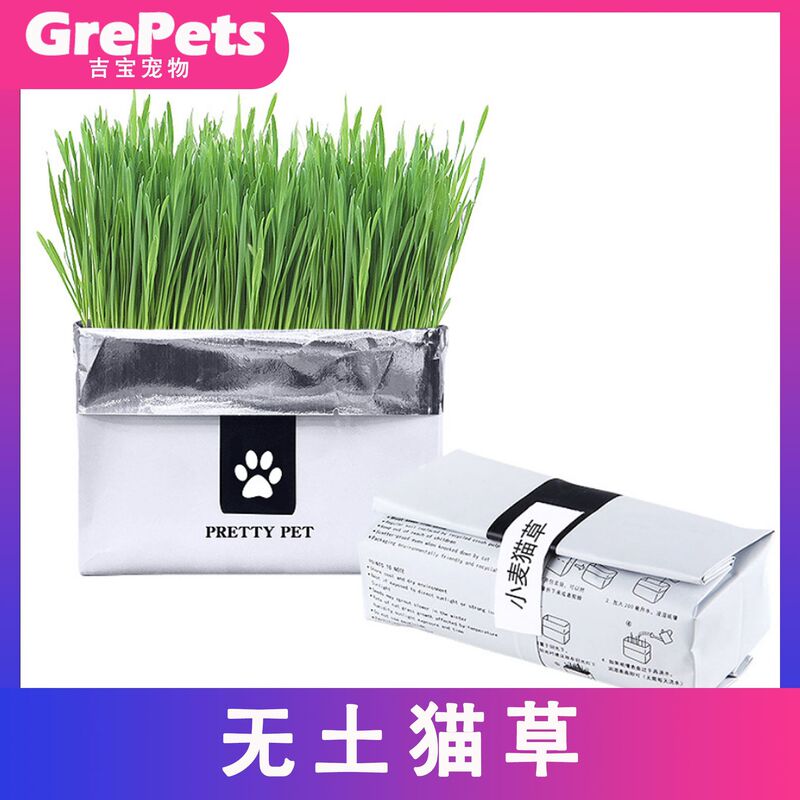 Net celebrity cat grass set soilless cultivation cat grass paper bag cat grass soilless cat grass