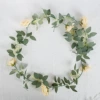 6 champagne rose vine