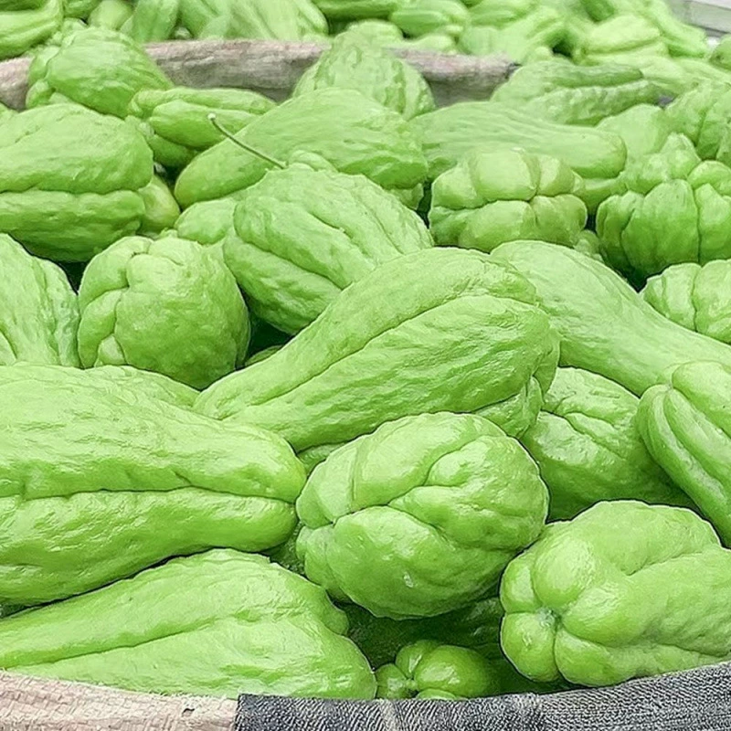 Бесплатная доставка свежих овощей арбуза оптом, арбуз, дыня, дыня, дыня, дыня, дыня, дыня, люфа оптом