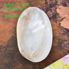 天然の貝殻の皿のキャビアの皿のレストランの調味料の皿は装飾の道具の家庭の味の皿の卸売りを撮影します。