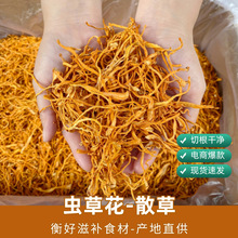 �x�ݻ���؛�и�ɢ�����l ���x�݁y�������^�������500gһ�����l