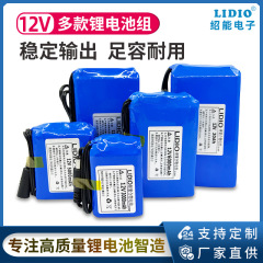 12V ポリマーリチウム電池パック 10000mAh 大容量 安全保護基板付き 3 シリーズ充電式リチウム電池