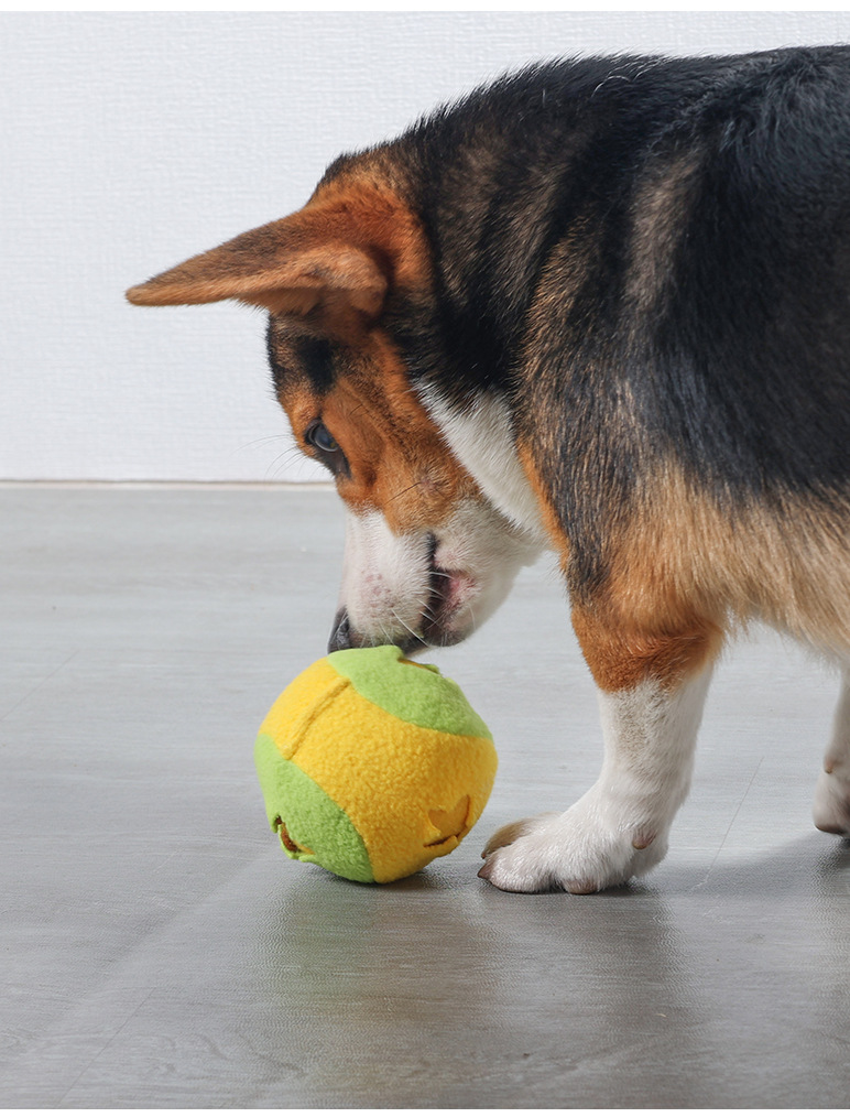 Interactive Snuffle Mat For Dogs Educational Food Dispensing Toy_voghion.com