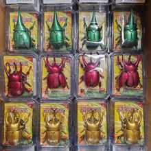 �羳����l�l��朷���񶷼��x�������P���ɄӃ�ͯ����������l