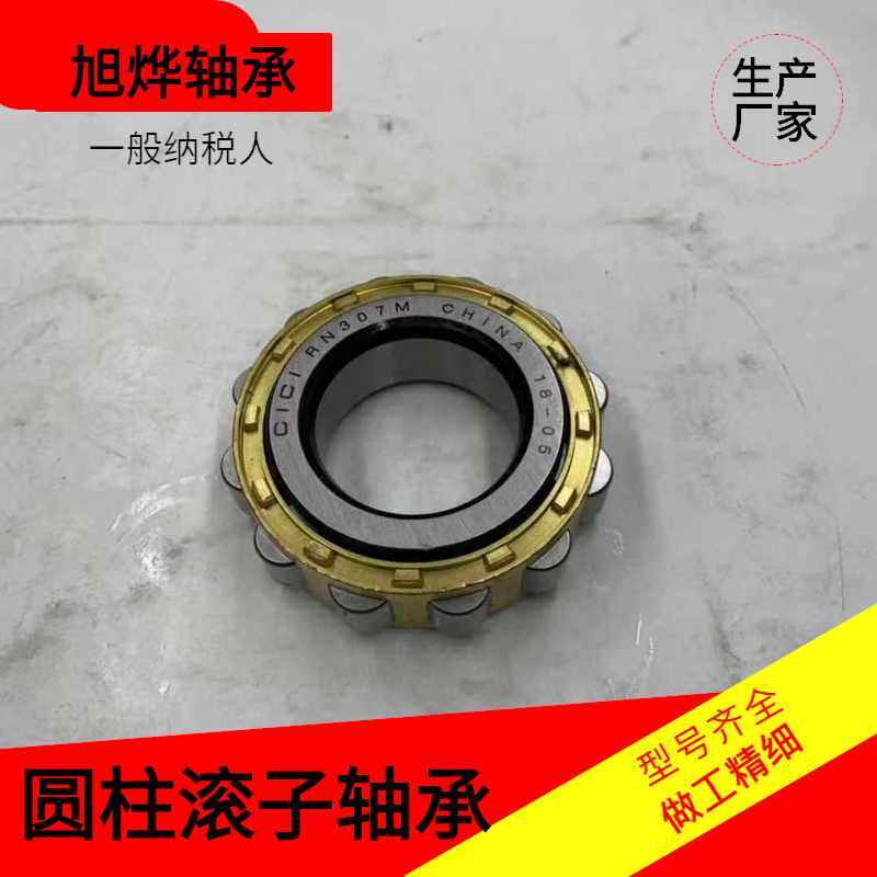 摆线减速机配套轴承 偏心套圆柱滚子轴承 RN307M 502307H厂家现货