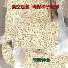 �²����ٷN�Ӽ޽Ӹ��� ��� ɰ������ľ�N������ך��N�Ӽt�ٷN��