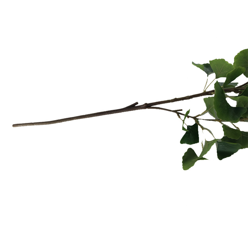 XRB-190 古枝银杏75叶8.jpg