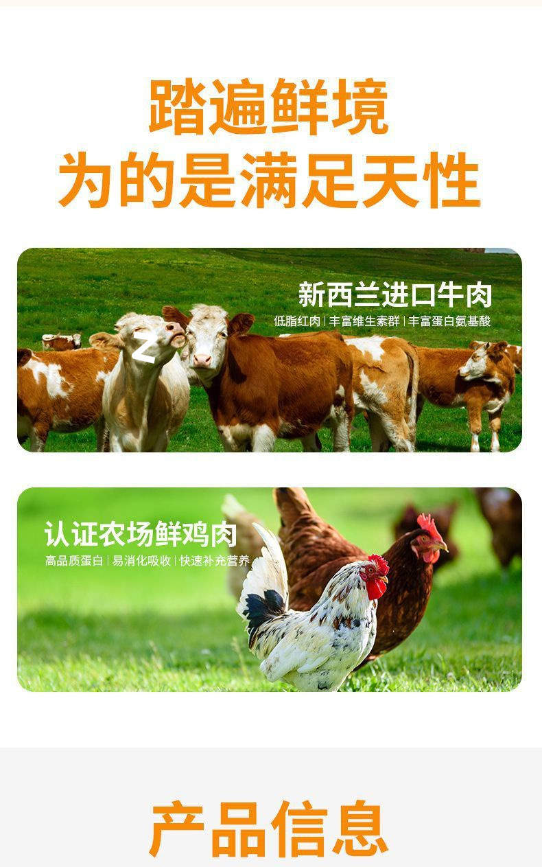 2ea73e39-b7cc-4ce7-9959-0a75d59e0836.jpe