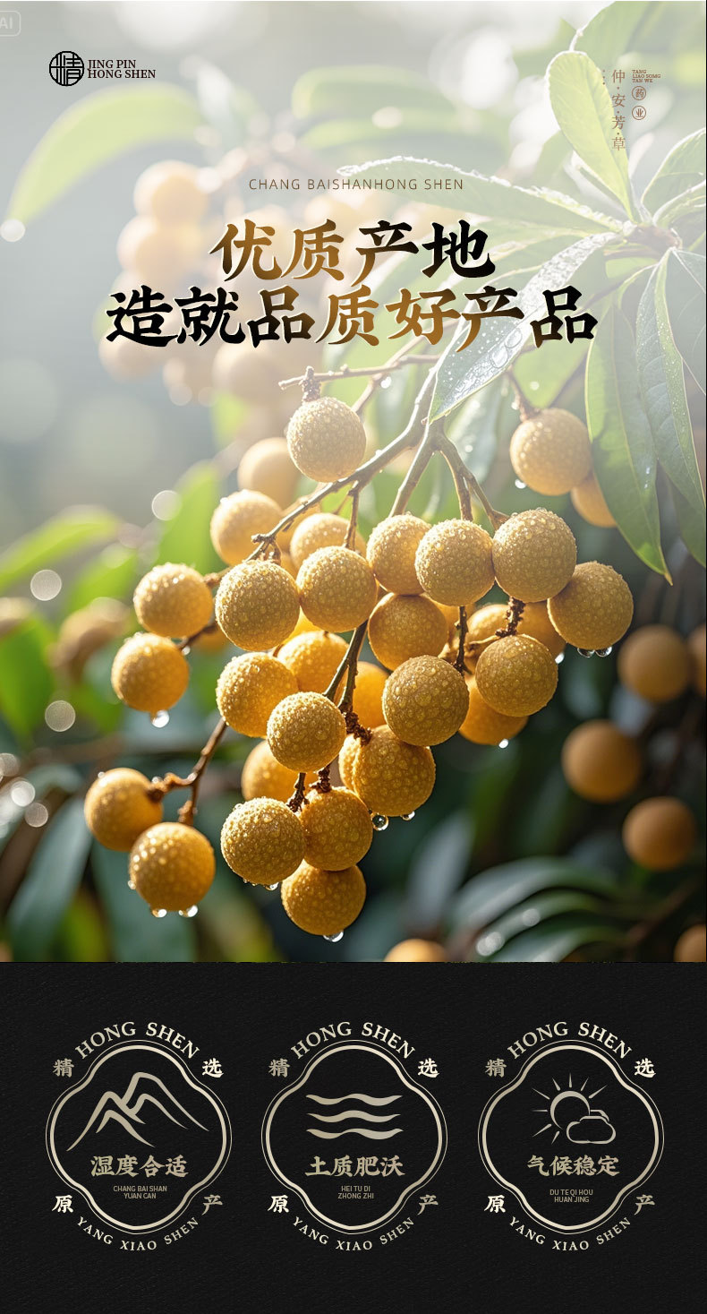 Gui Yuan Rou (Longan Dried Flesh, Dimocarpus longan) — Seedless Dried Longan Aril, 130g Jar key features