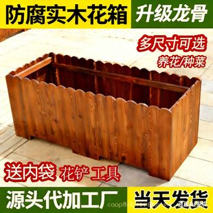 ����ľ����Nֲ�����ͥԺ�����Ի����L���������̨̼����ľ����