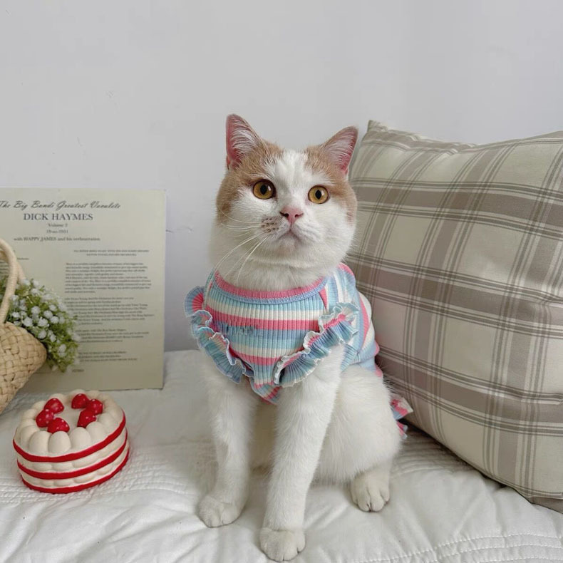 890ca336-86e1-45c3-b602-697867a12b8e.jpe